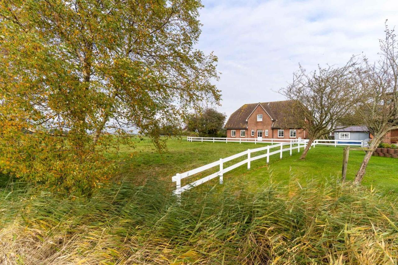 Apartmán Bi-Uns-To-Hus Tönning Exteriér fotografie